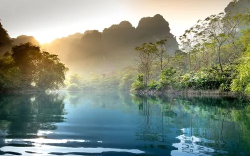 高端高效